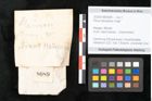 Foto (Objekt + Etikett) von Pinus hampeana Unger (NHMW-GEO-2024-0188-8089)